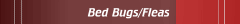 Bed Bugs/Fleas
